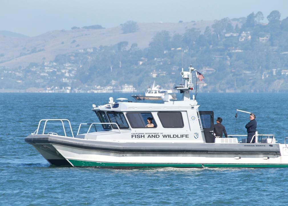 #89. Fish and Game Wardens